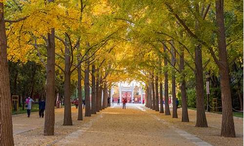 2014北京地坛公园庙会_2014北京地坛公园庙会图片